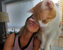 Anahi likes the cat and keeps one as a pet in her house.